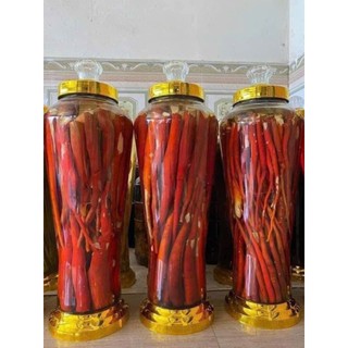 Sâm cau đỏ tươi Lai Châu loại 1 rửa sạch hút chân không