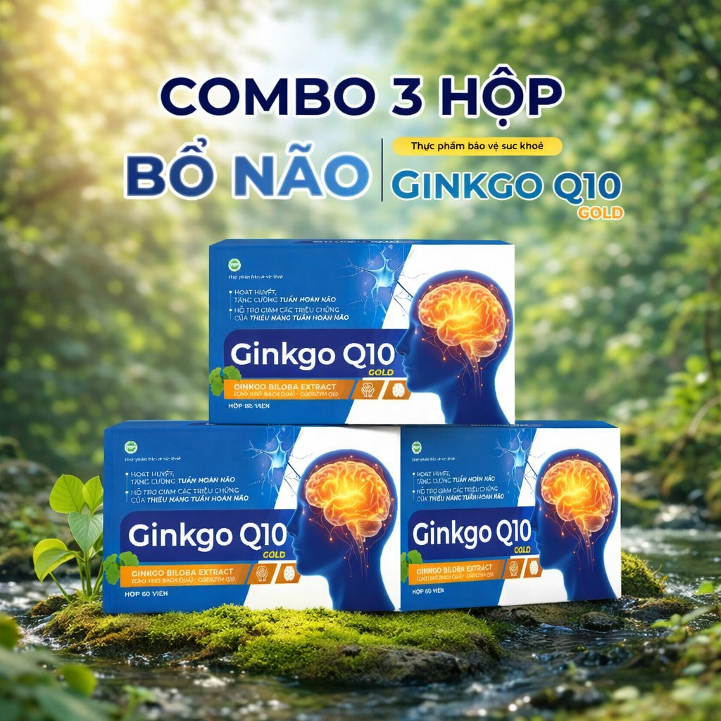 Combo 3 -TPBVSK GINKGO Q10 GOLD Hỗ Trợ Hoạt Huyết Tăng cường tuần hoàn não -Hộp 60 viên