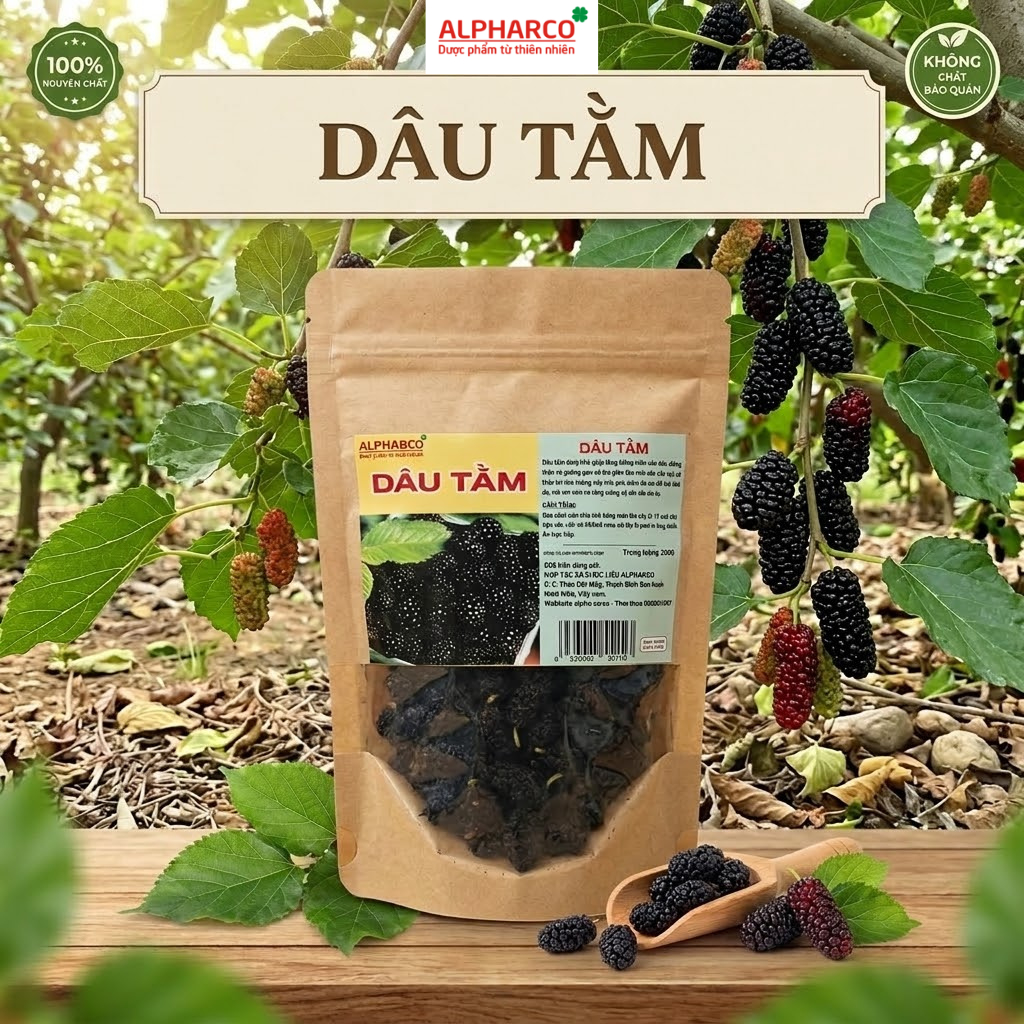 Dâu tằm sấy khô Alpharco túi 500g - 1kg dữ dáng, đẹp da, kiểm soát đường huyết