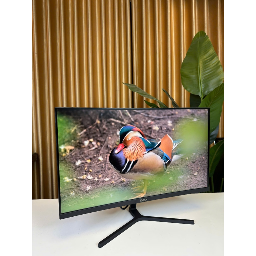 Màn hình Gaming 24" Cong DUAN DT-IP2409H 24 inch 100Hz FHD 24inch
