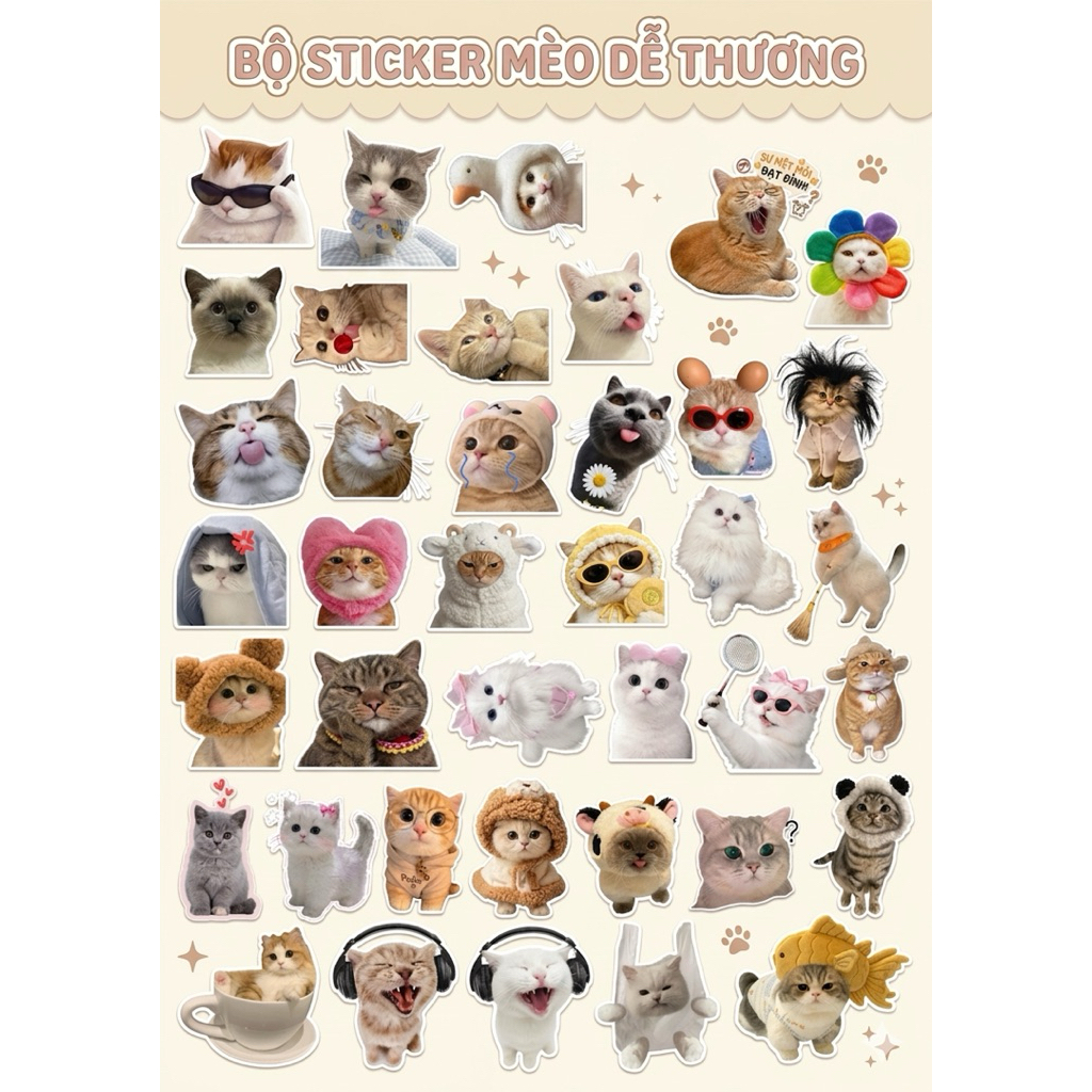 Bộ 45 Sticker Mèo đáng yêu nhiều mẫu không trùng lặp, nhãn dán siêu chắc chắn / Set 45 Sticker Cat D
