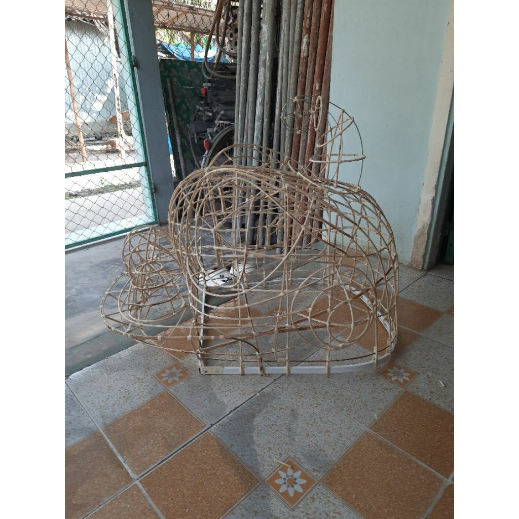 sườn lân mỏ tròn 1m45