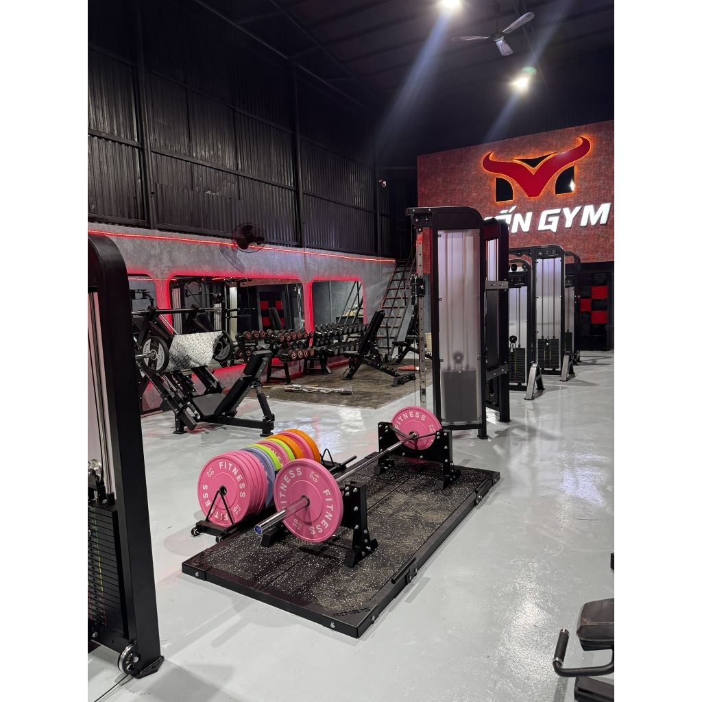 Giá Để Tạ Đĩa Giá Để Tạ Màu Dễ Dàng Di Chuyển Set Up Home Gym Private Phòng Gym Chuyên Nghiệp