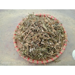 100g cây rau dệu sấy khô hữu cơ - TẶNG 50G CỎ NGỌT