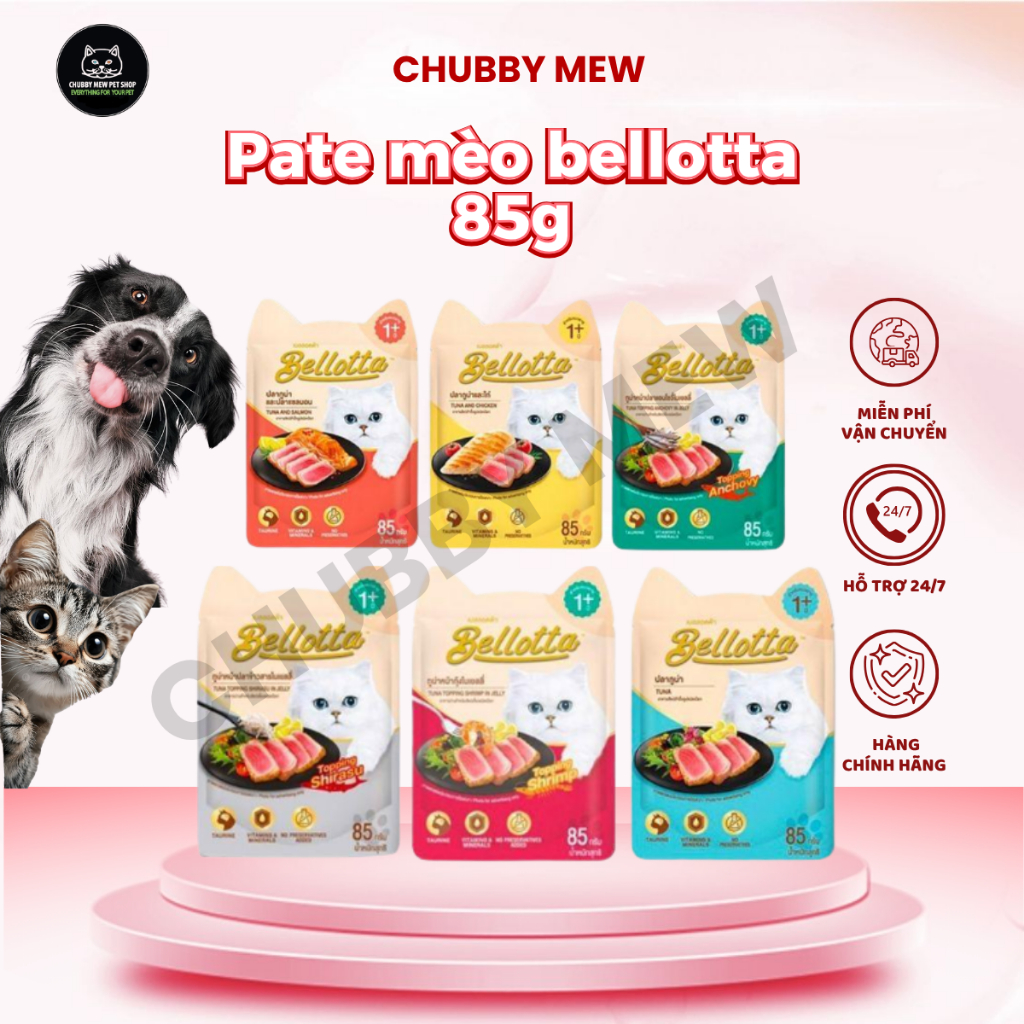(Combo 5 gói) - Pate mèo bellotta 85g-ChubbyMew