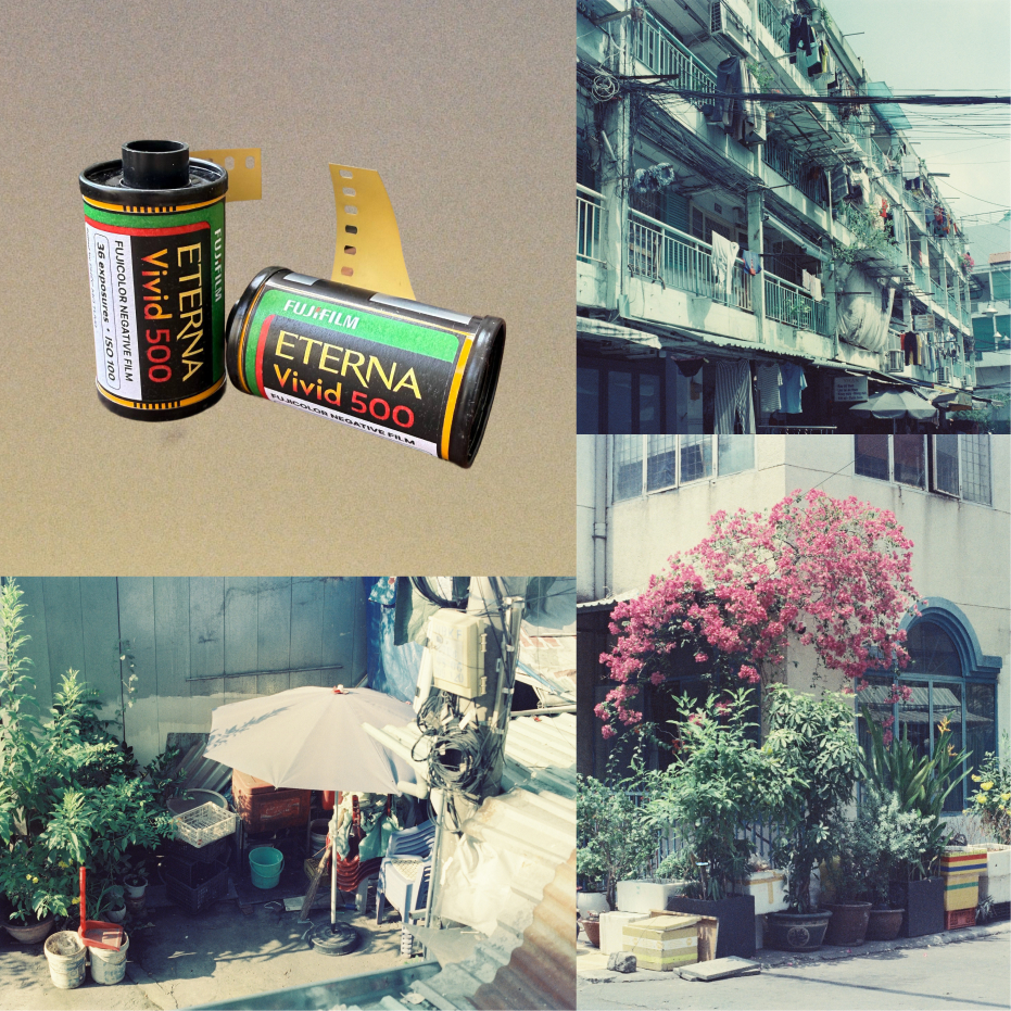 Film Cine Điện Ảnh Fujifilm Eterna Vivid 500T [OUTDATE]
