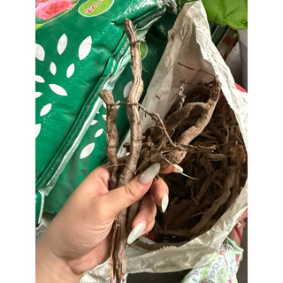2KG RỄ DỪA GIỮ ẨM CHO CÂY 🌱 TẠO ĐẤT XỐP, HỖ TRỢ DING DƯỠNG CHO CÂY, SÀI CHO MAI VÀ CÁC CÂY TRỒNG KHÁC