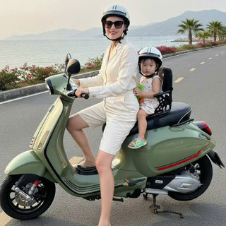 Ghế Ngồi Sau Xe Máy: Xe Số.Xe Tay Ga.Xe Côn.Cho bé 9th-3 tuổi.<20kg