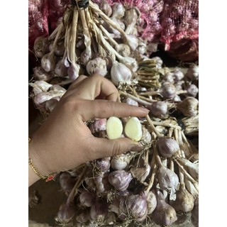 2kg Tỏi Ta Sơn La Củ Nhỏ rất thơm, còn nguyên dây để treo bảo quản thơm ngon