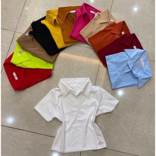 Áo thun cổ bẻ croptop chất đẹp