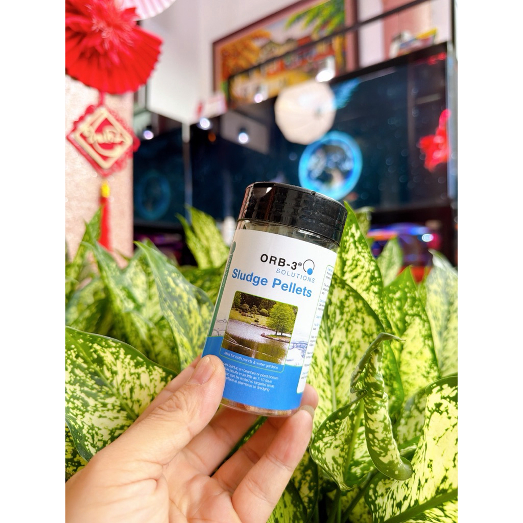 Vi Sinh Sludge Pellets + Khoáng và Pond Enzymes