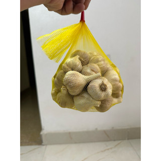 Tỏi không cuống