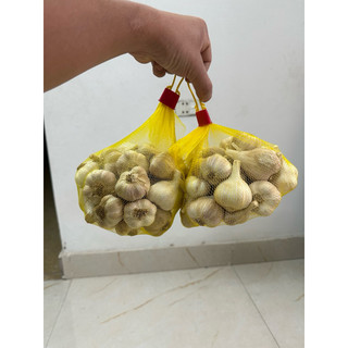Tỏi không cuống