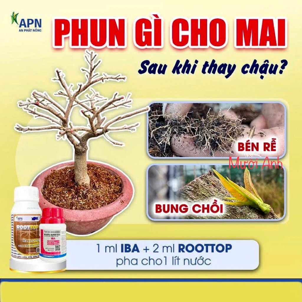 BÉN RỄ - BUNG CHỒI - ĐÂM TƯỢC hiệu ROOT TOP và IBA dưỡng rễ và kích rễ