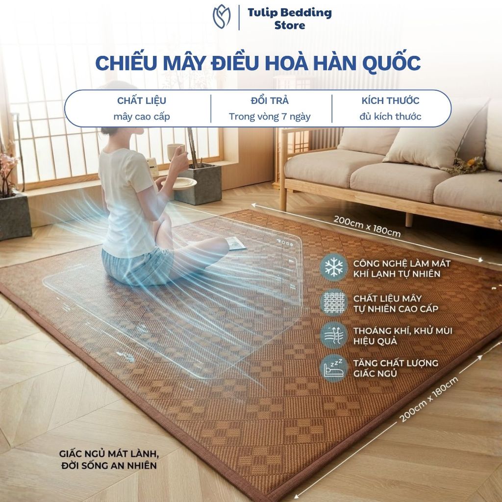 Chiếu Mây Điều Hòa Băng Lạnh Hàn Quốc, Thảm Đệm Mây Mát Lạnh Chống Trượt Dày Dặn Trải Sàn Hoặc Giường