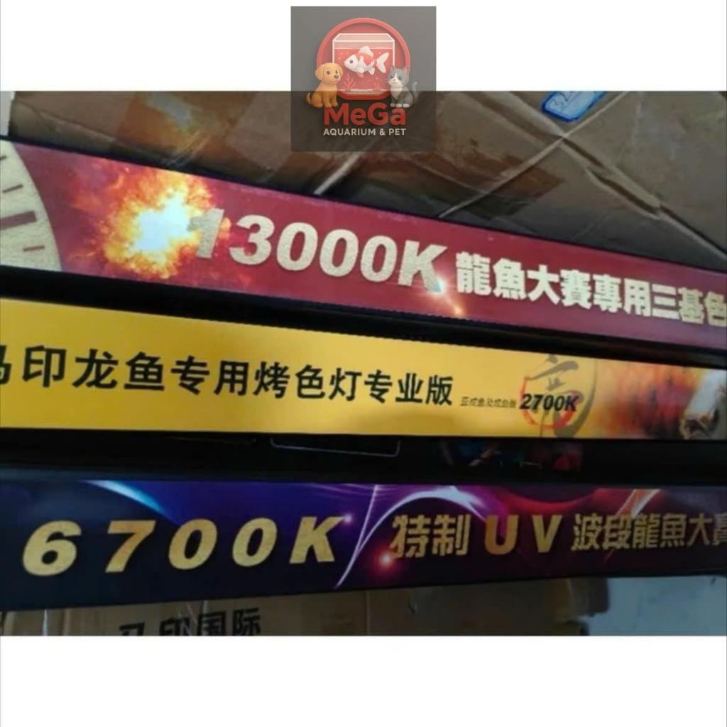 Đèn Mayin Super Colour 3, Plus, T5 Tanning Chuyên Cho Cá Rồng - Đèn Led MAYIN Cho Cá Koi/Bối Vàng