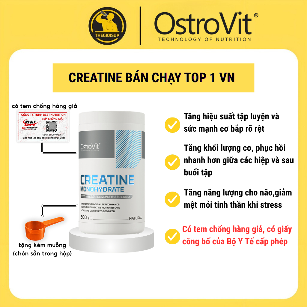 [HỦ / TÚI TÙY ĐỢT] OstroVit Creatine Monohydrate (300g / 500g / 1000g) – Tăng Sức Mạnh, Phục Hồi Tối Ưu, Hàng Chuẩn