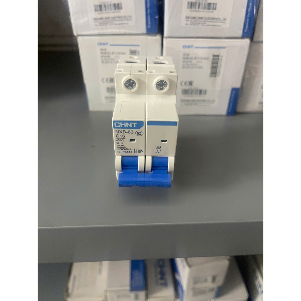 CHINT Aptomat MCB 2P NXB-63 20A, 25A, 32A, 40A, 50A, 63A