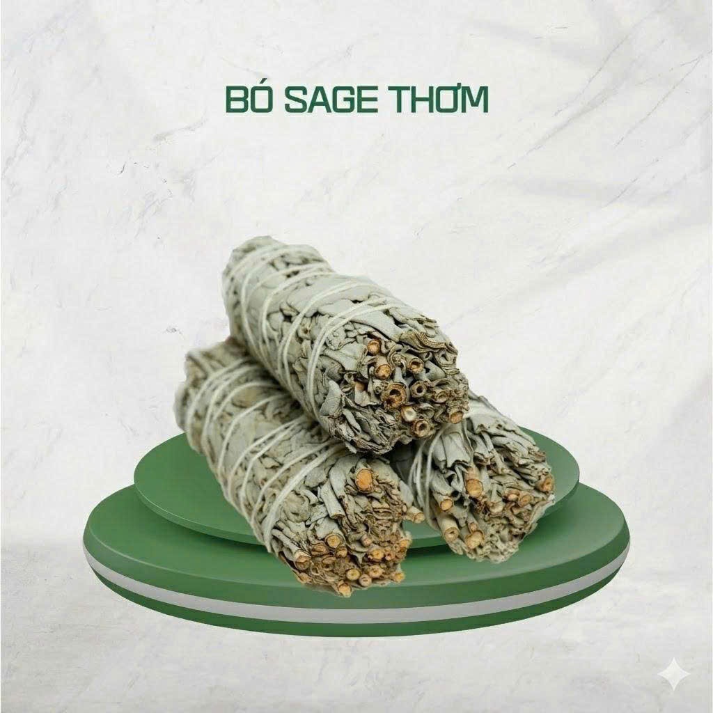 Lá Xô (Sage) Thơm - TAROT ĐỒNG TÂM - Xô (Sage) trắng, Thanh Tẩy Không Khí
