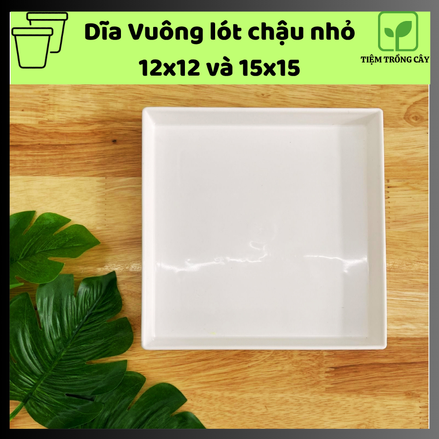 Dĩa Vuông Lót Chậu KFG Cao Cấp – Đĩa Nhựa Hứng Nước Chậu Cây 12x12cm và 15x15cm, Nhựa Dày Bền Đẹp