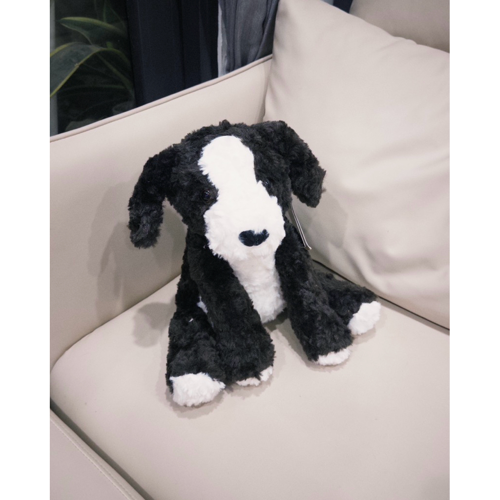 ✨Gấu bông chó Border Collie đáng yêu