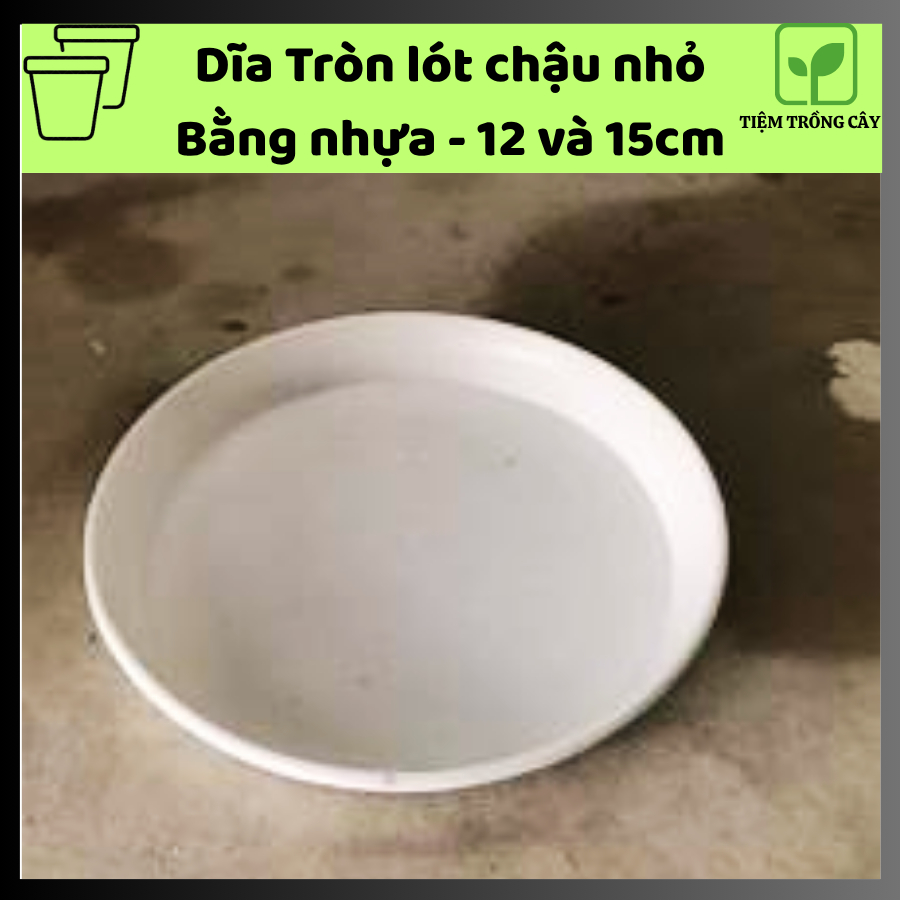 Dĩa Tròn Lót Chậu KFG Cao Cấp – Đĩa Nhựa Hứng Nước Chậu Cây Đường Kính 12cm và 15cm, Nhựa Dày Bền