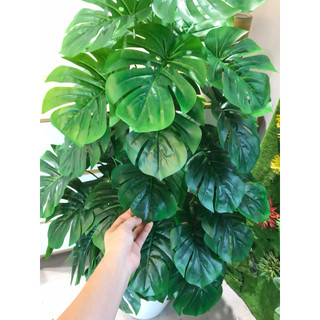 Cây trầu bà lá xẻ cao 1m5 - 72 lá - cây giả trang trí decor nhà