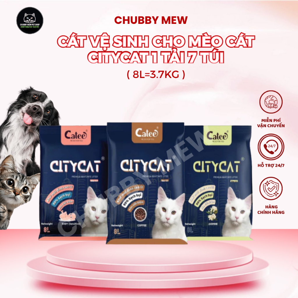 [HOẢ TỐC-GV] 1 TẢI 7 TÚI CÁT VỆ SINH CHO MÈO CÁT CITYCAT 8L=3.7KG - CHUBBY MEW