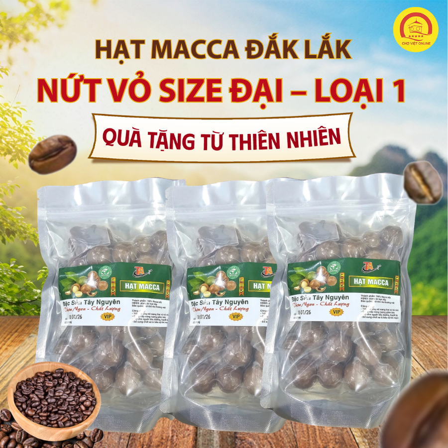 Hạt Macca Nứt Vỏ Đắk Lắk 1Kg Hàng Loại 1, Hạt Macca Size Đại Hạt To Thơm Bùi, Giòn Ngon