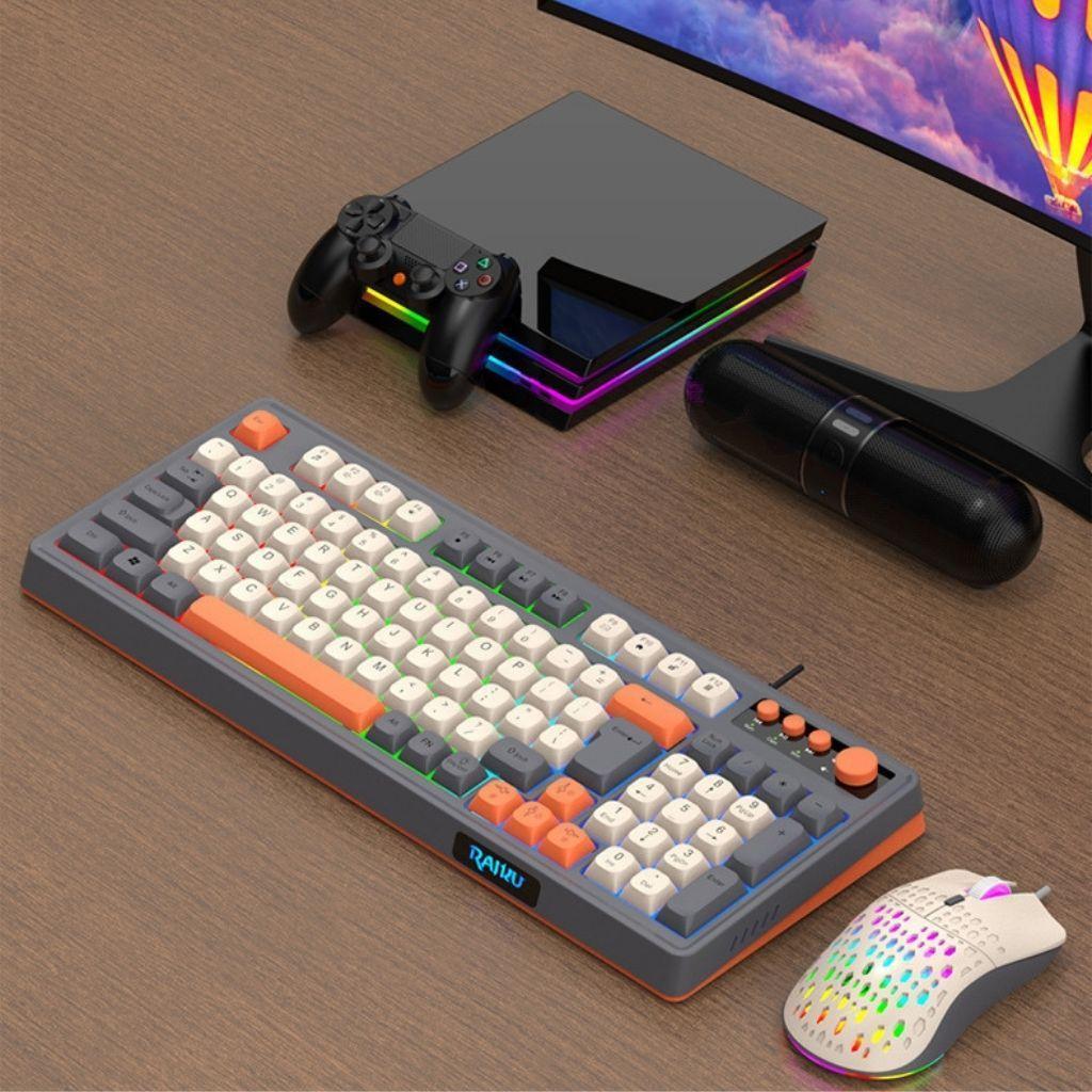 COMBO Bàn phím Chuột giả cơ Gaming RaiKu T98 full size - Led Rainbow siêu đẹp - Có núm xoay - Phím B