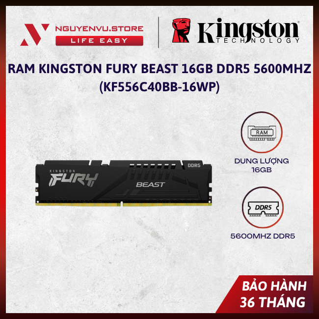 [CHÍNH HÃNG] Ram Kingston Fury Beast 16GB DDR5 5600MHz (KF556C40BB-16WP) - BẢO HÀNH 36 THÁNG