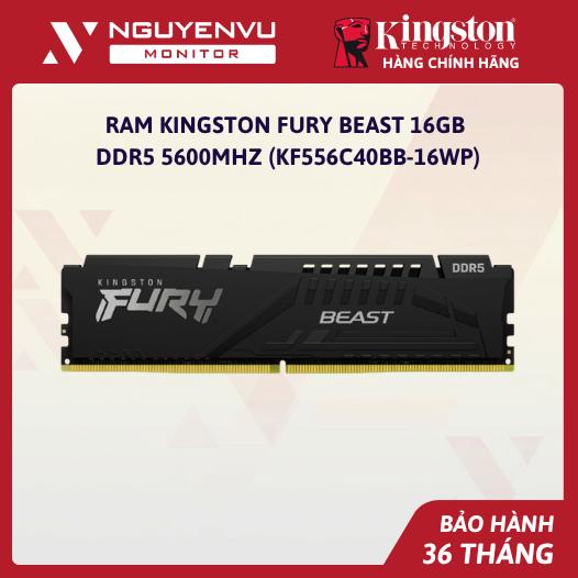 [Full Vat] Ram Kingston Fury Beast 16GB DDR5 5600MHz (KF556C40BB-16WP) - Bảo Hành 36 Tháng