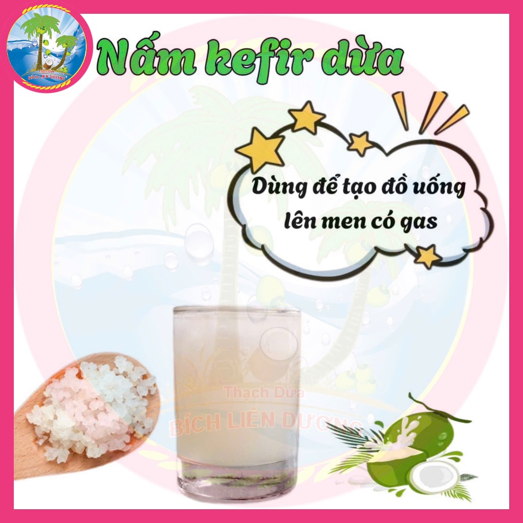 [50G] Nấm Kefir Nước Dừa - Men Sống Tự Nhiên Từ Nước Dừa