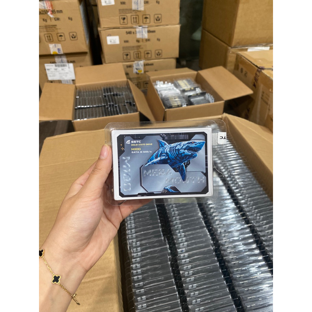 Combo 5-10 Ổ cứng SSD SSTC M100 256GB 2.5” SATA III