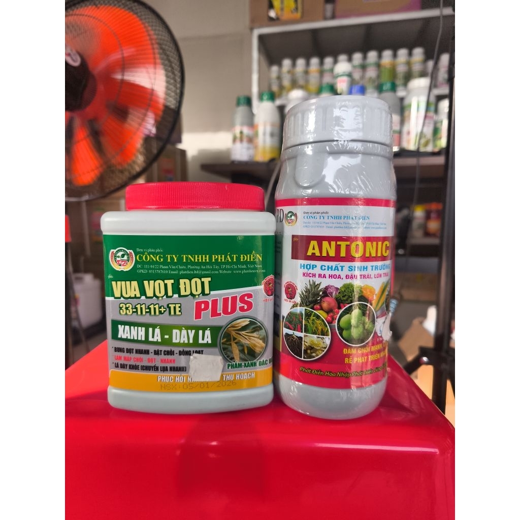 COMBO VUA VỌT ĐỌT 33-11-11+TE & ANTONIC.