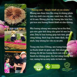 Nhang Sen Nguyên Chất – Hương Thơm Thanh Tịnh, Dùng Thiền Định & Cúng Lễ