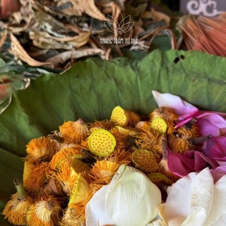 Nhang Sen Nguyên Chất – Hương Thơm Thanh Tịnh, Dùng Thiền Định & Cúng Lễ