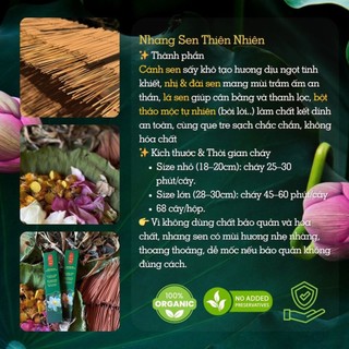 Nhang Sen Nguyên Chất – Hương Thơm Thanh Tịnh, Dùng Thiền Định & Cúng Lễ