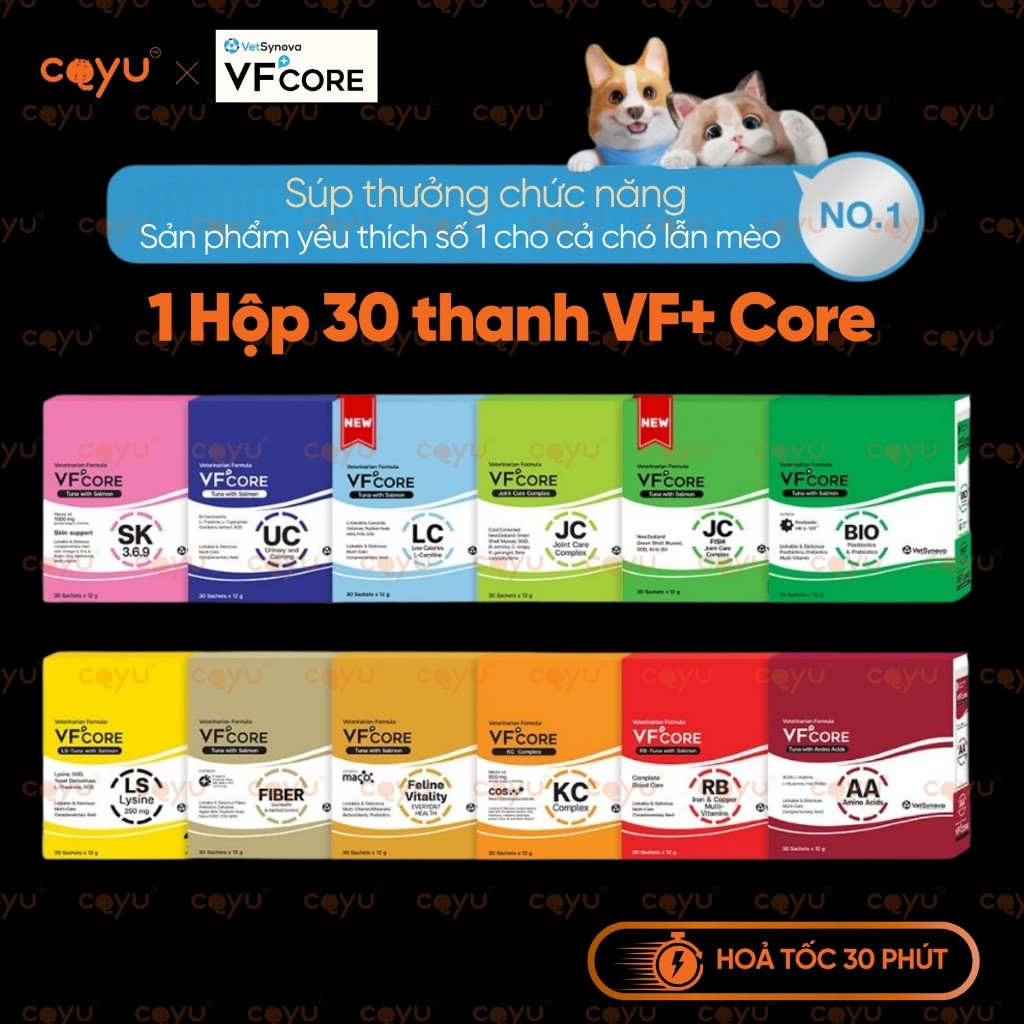 CHÍNH HÃNG - 1 Hộp - VF+ Core - Súp Thưởng Chức Năng - SK AA RB KC LS Feline JC BIO UC FIBER - Coyu
