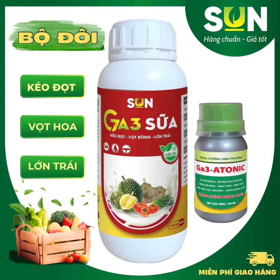 Combo Ga3 Sữa 500ml + Ga3 Atonic 100ml Lớn Trái, Kéo Đọt, Vọt Hoa, Trái Lớn Nhanh