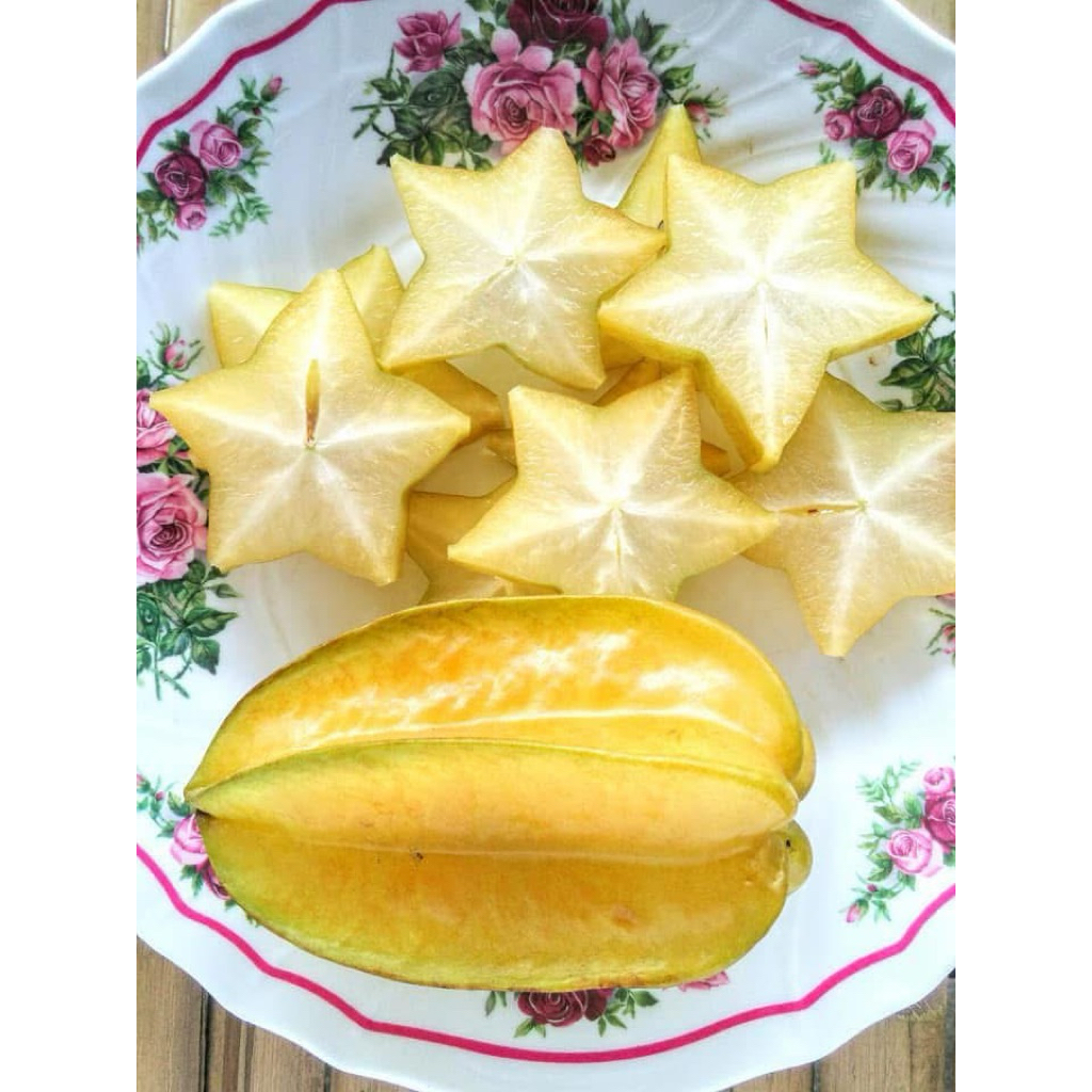 cây khế tàu,khế chua,khế ngọt