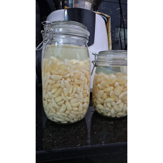 Tỏi không cuống