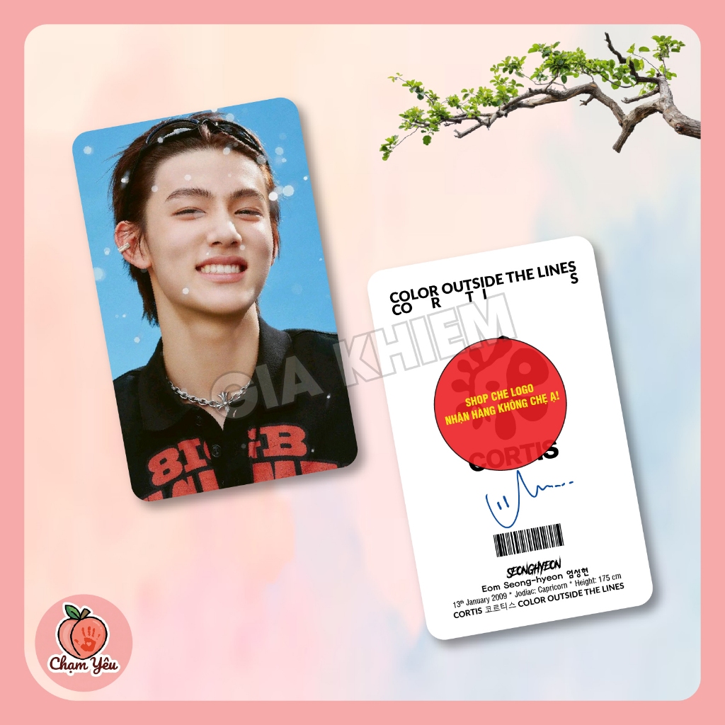 Photocard Seonghyeon (P1) Eom Seong-hyeon 엄성현 Cortis 코르티스 Color Outside The Lines - Size 5.5x9cm