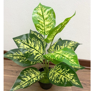 Cây giả - cây lá đốm 30cm/40cm