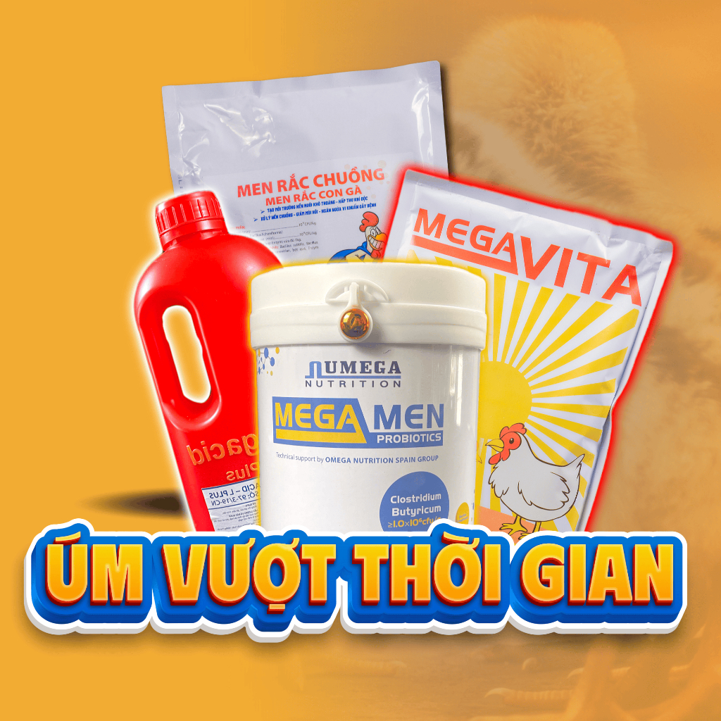 ÚM VƯỢT THỜI GIAN VỚI GAÂ VÀ TẾ BÀO GỐC TẠO MÁU CÓ VITAMIN ADE CẦN THIẾT_Mega Men + Mega Cid L Plus 