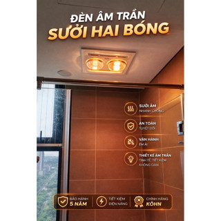 Đèn sưởi nhà tắm âm trần Braun Kohn BK03G 2 bóng chống chói -Hàng chính hãng bảo hành 5 năm
