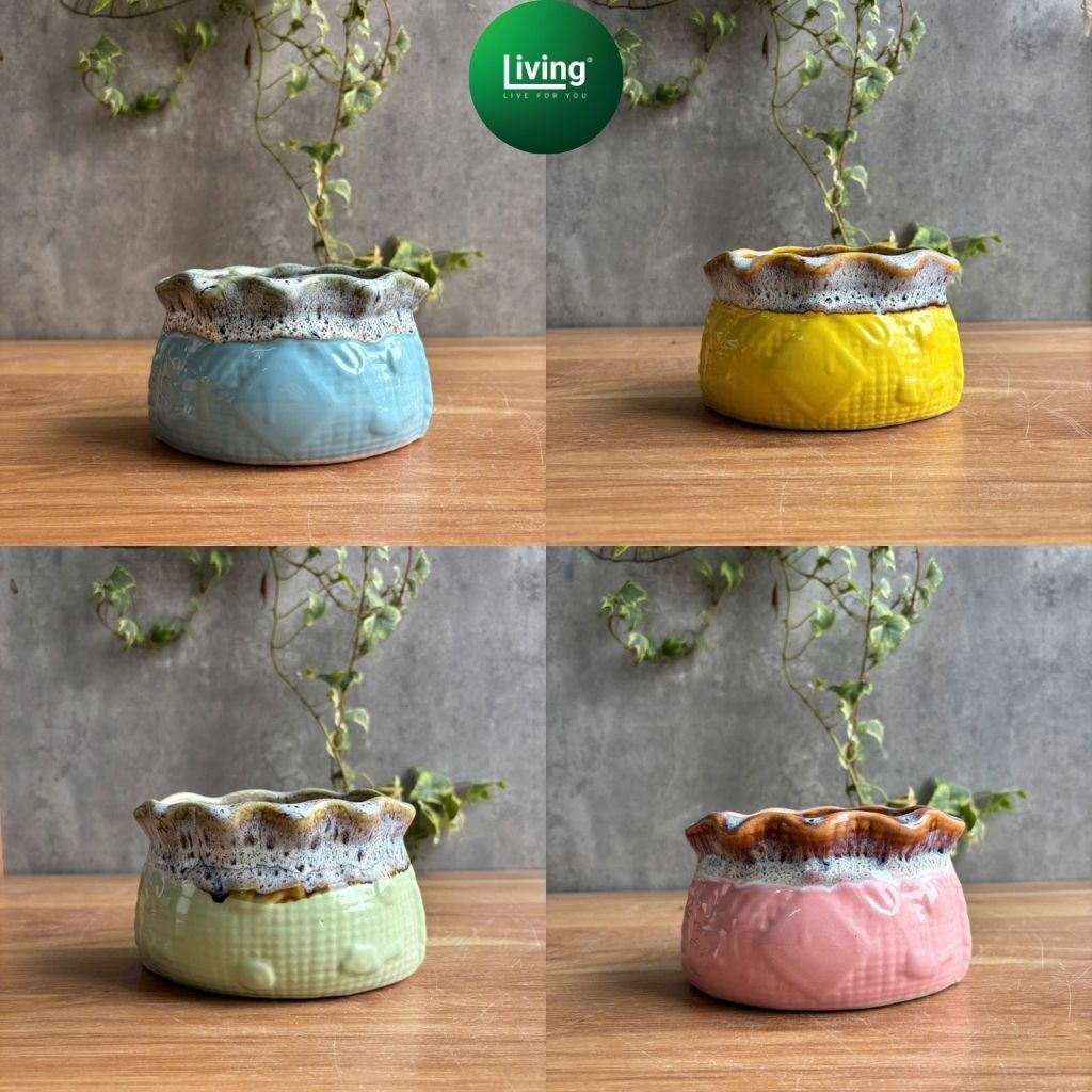 Chậu Gốm Men Địa Trung Hải Cao Cấp - Chậu Trồng Sen Đá, Xương Rồng Decor Bàn Làm Việc | Living Decor
