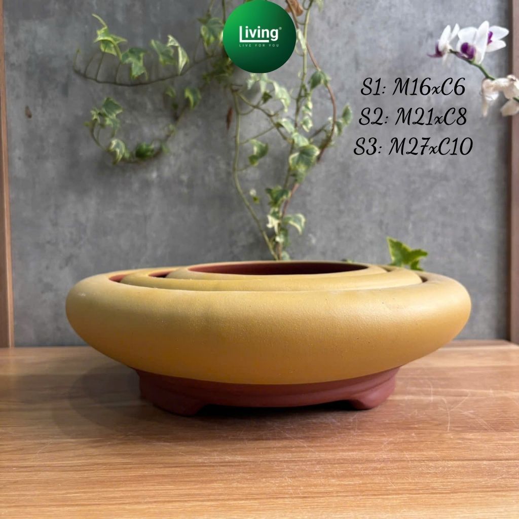 Chậu Gốm Tàu Cao Cấp Dáng Dĩa Tròn - Chậu Bonsai Mini, Sen Đá Men Lì Sang Trọng | Living Decor