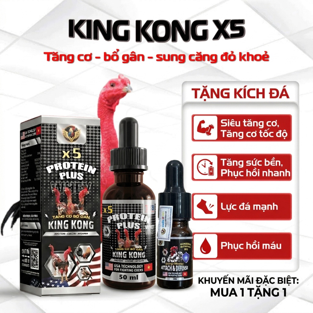 [Tặng Kích Đá] KING KONG X5 – Tăng Cơ Bắp Sung Đỏ Khỏe Dinh Dưỡng Cho Gà Chọi – X5 Protein Plus 50ml
