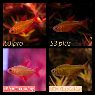 [RẺ VÔ ĐỊCH] Đèn Flat S3 Plus, S3 Nano RGB đỏ cá không đỏ nước (Bảo Hành 6 tháng 1 đổi 1)